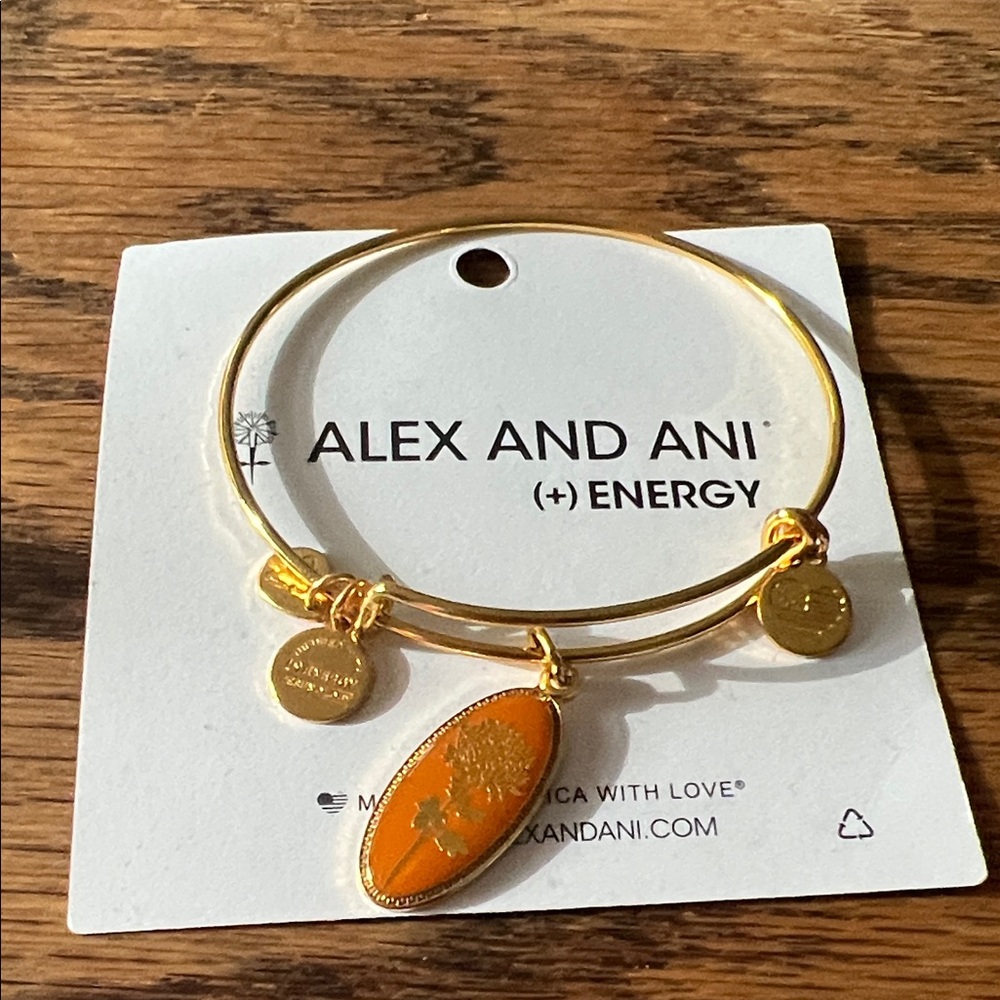Alex and Ani Gold and Orange Charm Bracelet